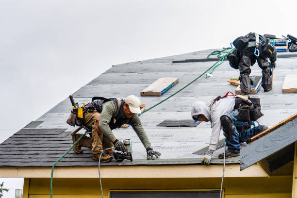 Professional Gutter Installation technician working in Wilson Creek, WA